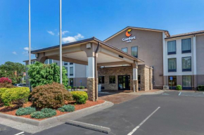 Отель Comfort Inn Roanoke Civic Center  Роанок